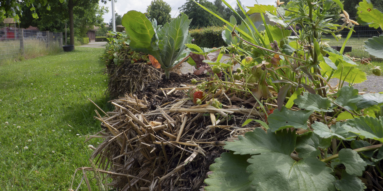 Natuurboerderij Lindehoeve Dalfsen