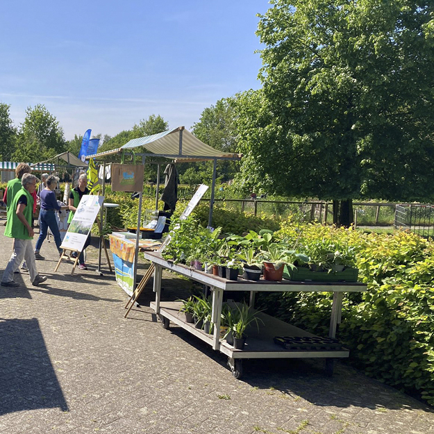 Plantjesruilmarkt tijdens Rondje Groen, doen