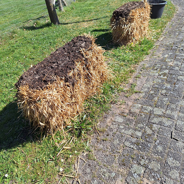 Natuurboerderij Lindehoeve Dalfsen strobaaltuintje